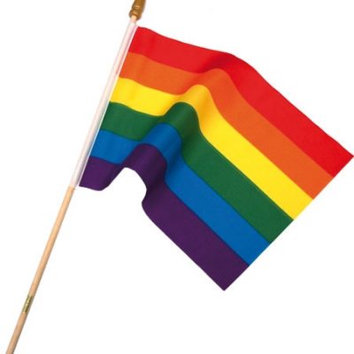 Regnbågsflagga På Pinne Liten