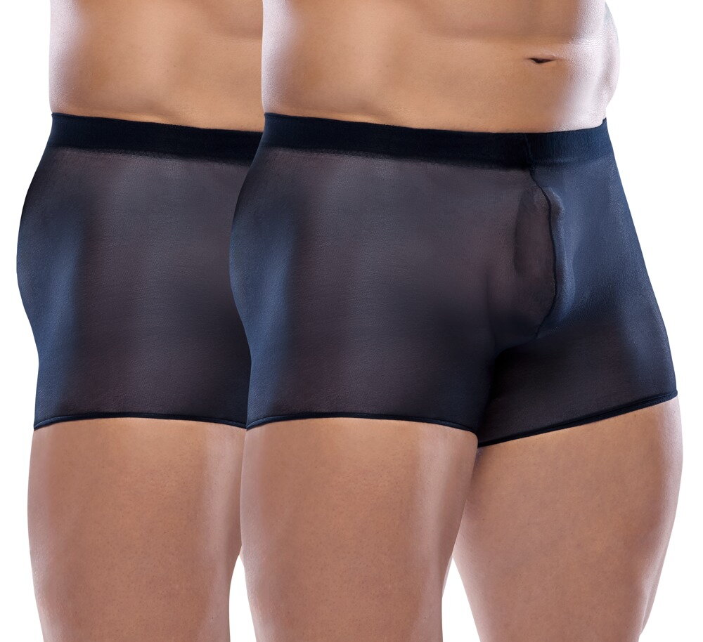 Svenjoyment Transparent Pants 2-Pack Blue